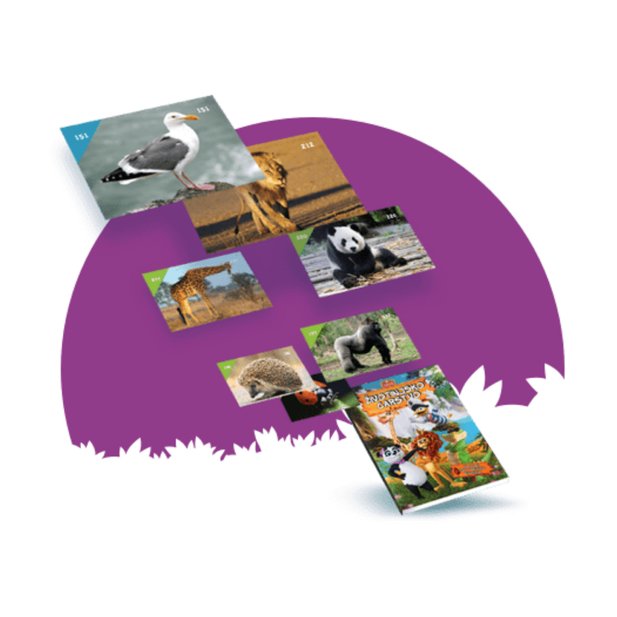 Kraš Animal Kingdom album | Životinjsko carstvo album