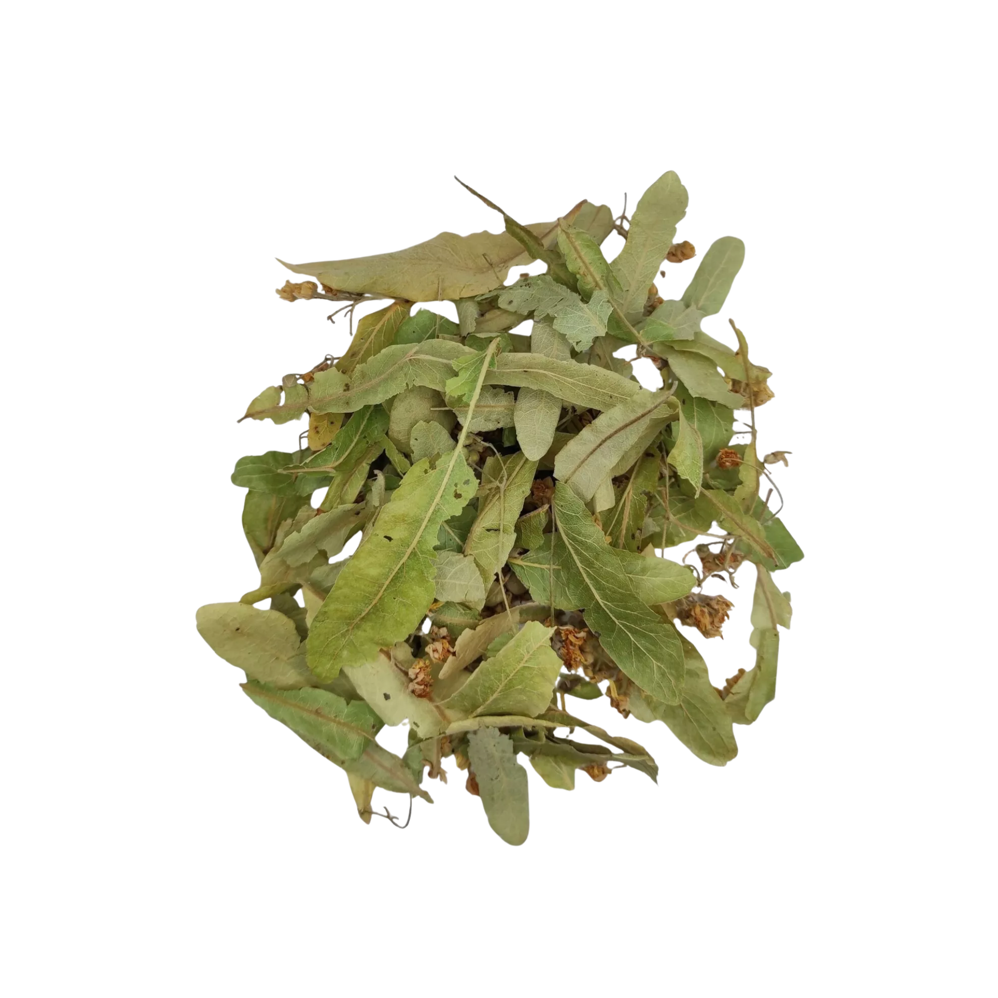 EFT Linden tea | Lipa čaj 40g - Magaza Online