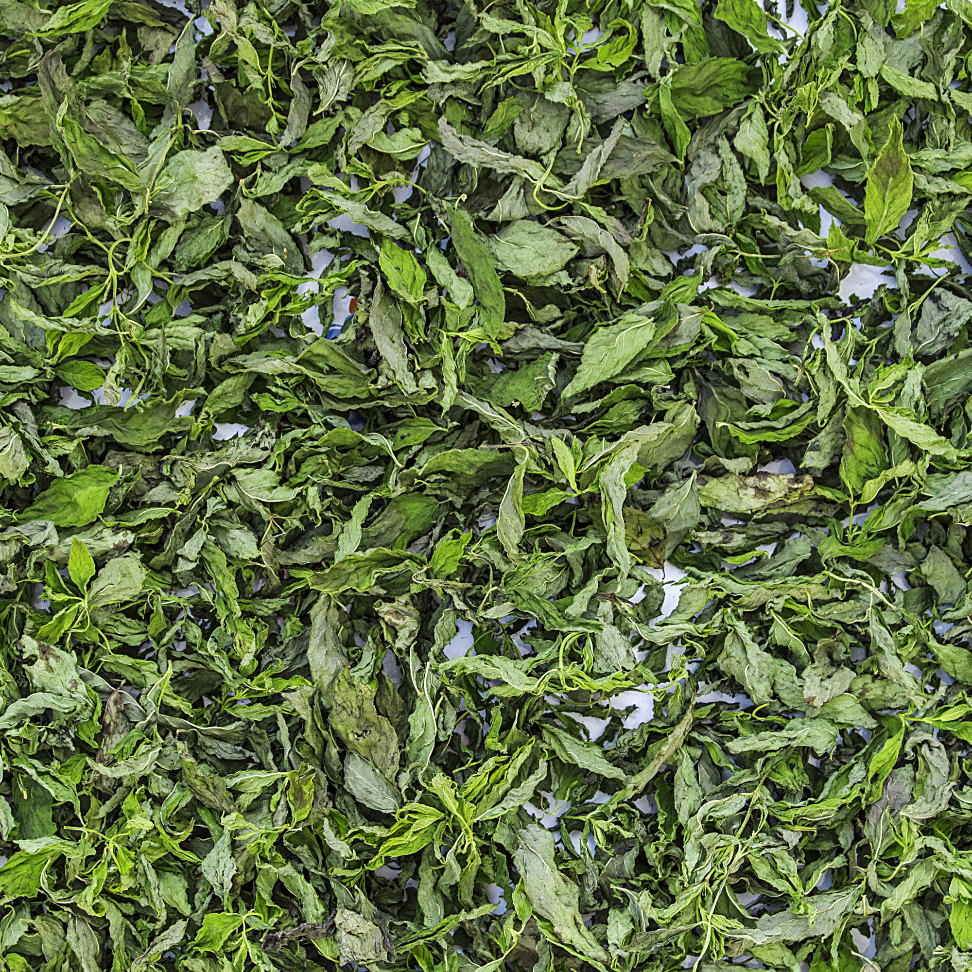 EFT Mint tea | Čaj od nane 30g - Magaza Online