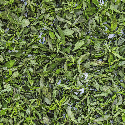 EFT Mint tea | Čaj od nane 30g