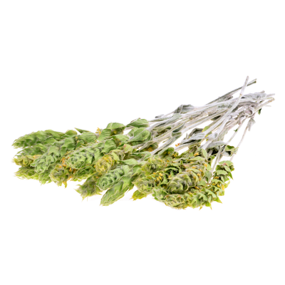 EFT Mountain tea | Planinski čaj 50g
