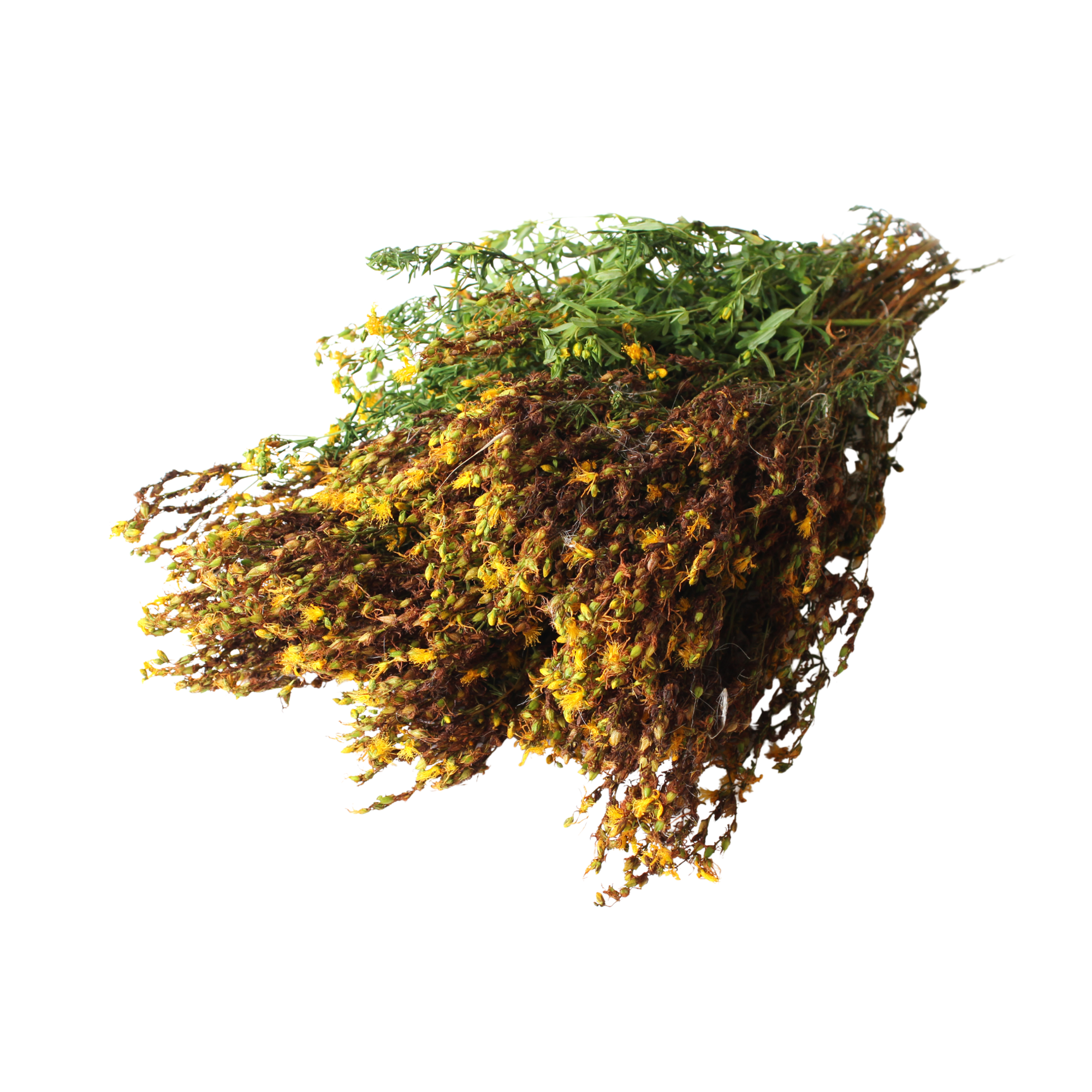 EFT St John's wort tea | Kantarion čaj 50g - Magaza Online