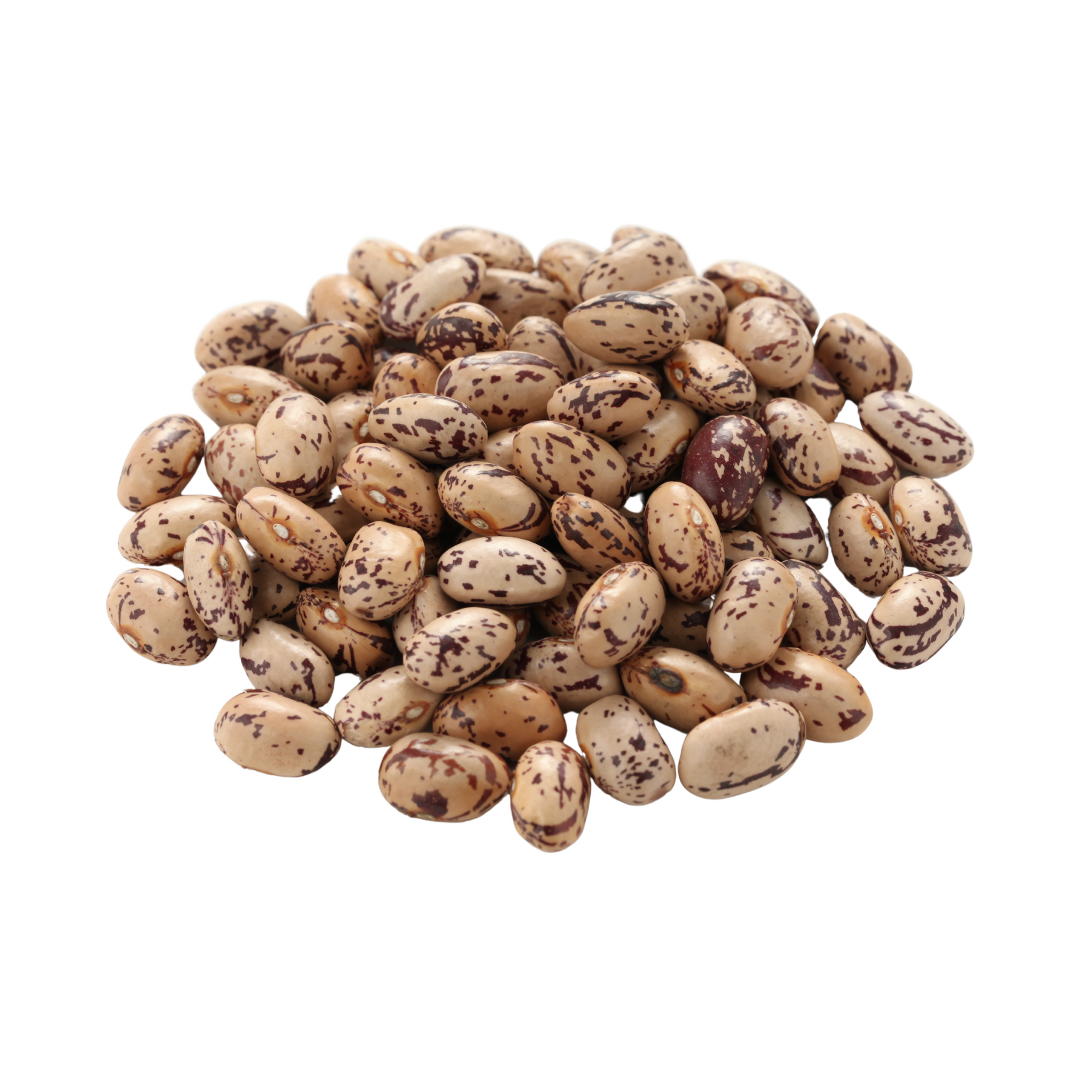 Magaza Dried pinto beans | Domaći šareni pasulj 800g