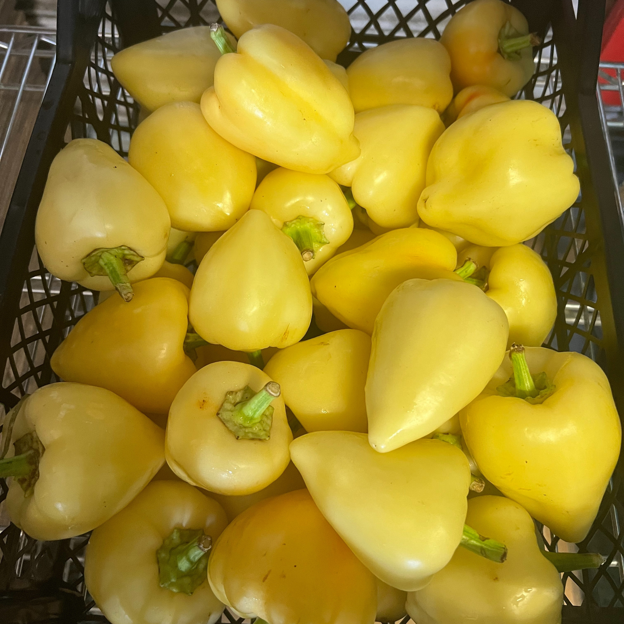 Magaza Fresh Somborka peppers | Sveža Somborka paprika avg. 4kg - Magaza Online