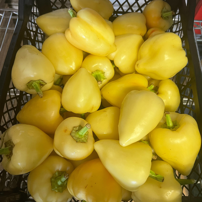 Magaza Fresh Somborka peppers | Sveža Somborka paprika avg. 4kg