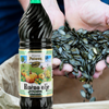 Oljarna Petovar Unrefined pumpkin seed oil | Bučino nerafinirano ulje 1l
